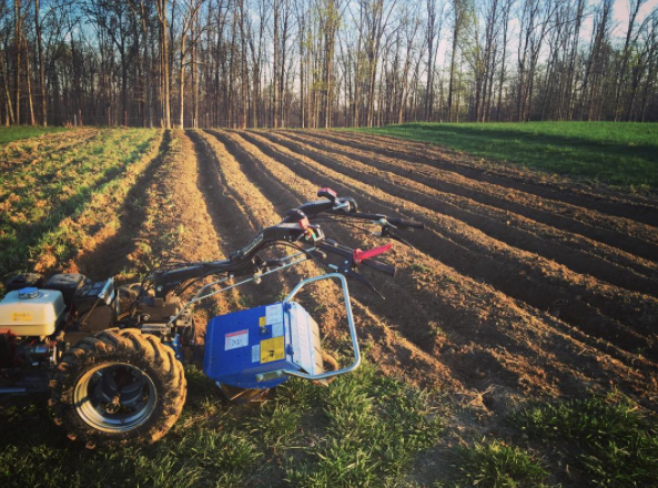Our two-wheel tractor and raised beds. 