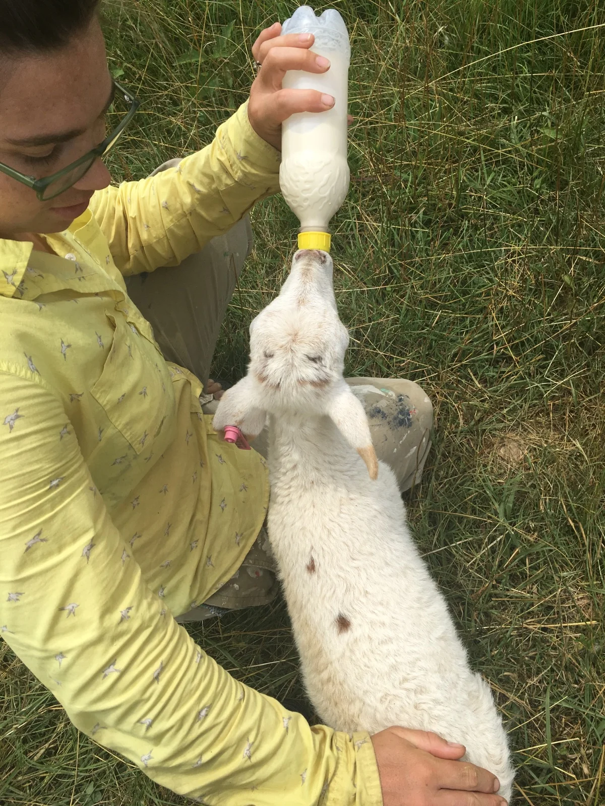  Me feeding baby lamb.&nbsp; 