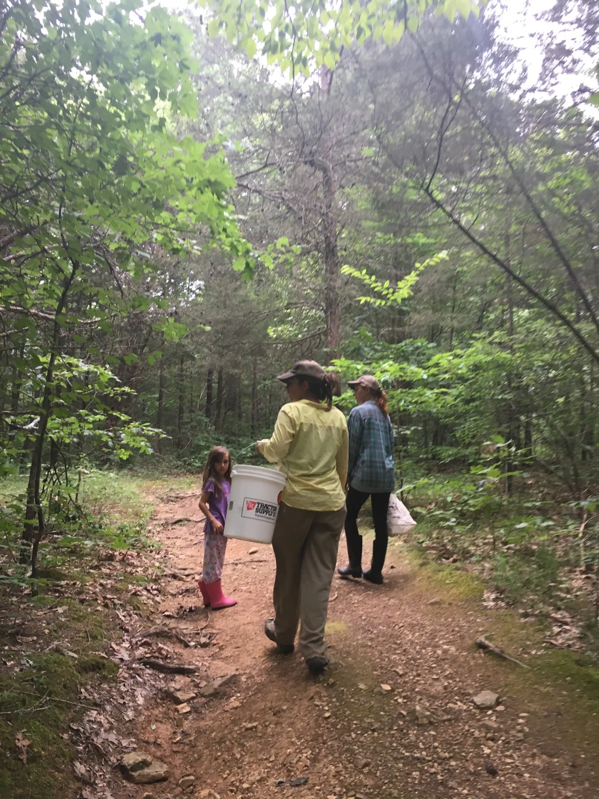  Mushroom hunting in the woods!&nbsp; 