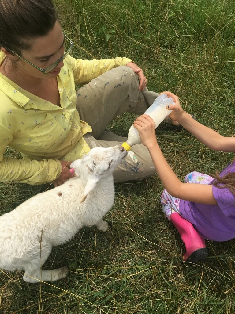  Nico feeding baby lamb.&nbsp; 