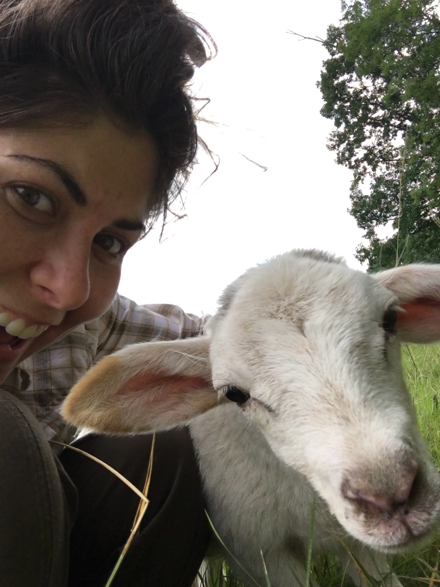  Monica and Baby Lamb.&nbsp; 