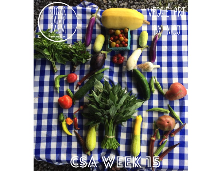 Nico my 7 year old friend designed this week's csa art as I am out of town! Week 15 CSA! Basil. Thai basil, sweet potato greens, a squash of your choice, tomatoes, a pint of cherry tomatoes, okra, eggplant, garlic, summer squash and cucumbers mixed, and a few hot peppers.