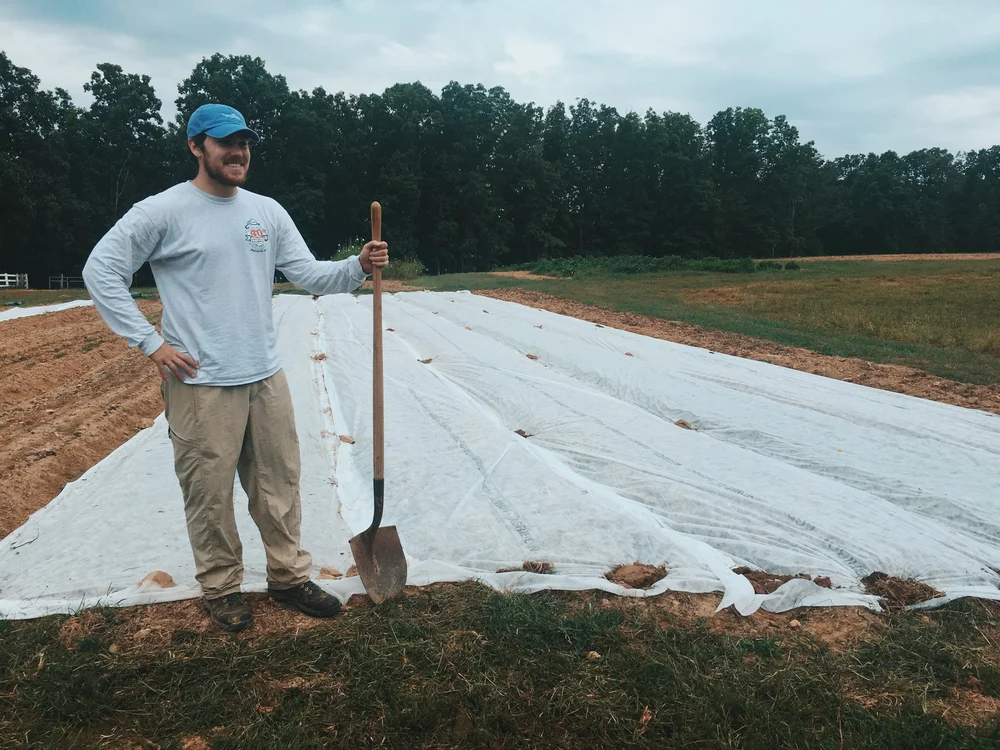 Ty putting row cover on our growing greens to protect it from hard rain and bugs. 