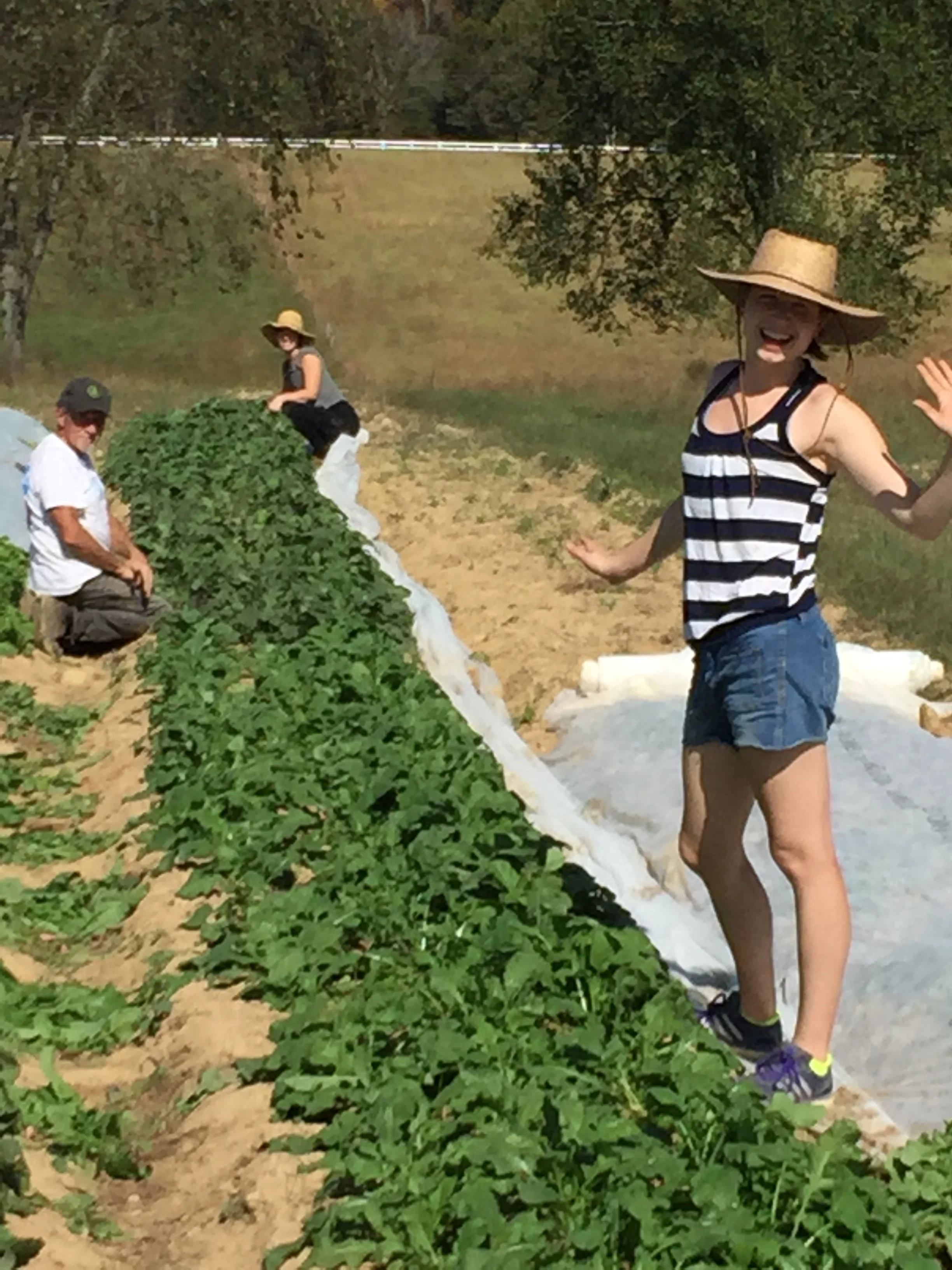 Holly, Tony and Kendall thinning radishes! we love our family! 