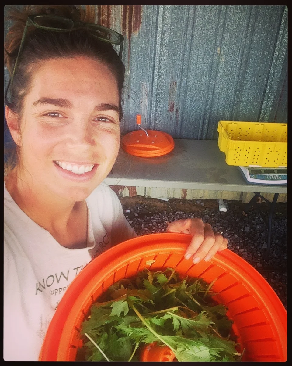 Lizzie processing and washing greens at the washing station! 