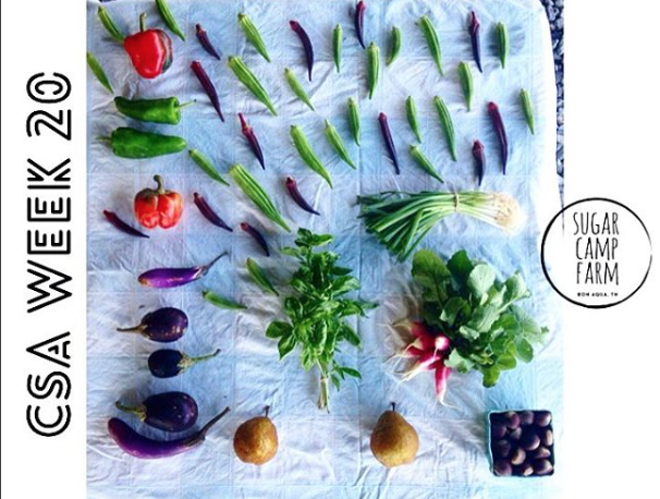 Screen Shot 2017-02-02 at 12.38.48 PM.png