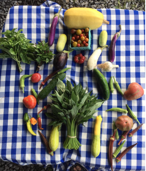 Screen Shot 2017-02-02 at 12.37.49 PM.png