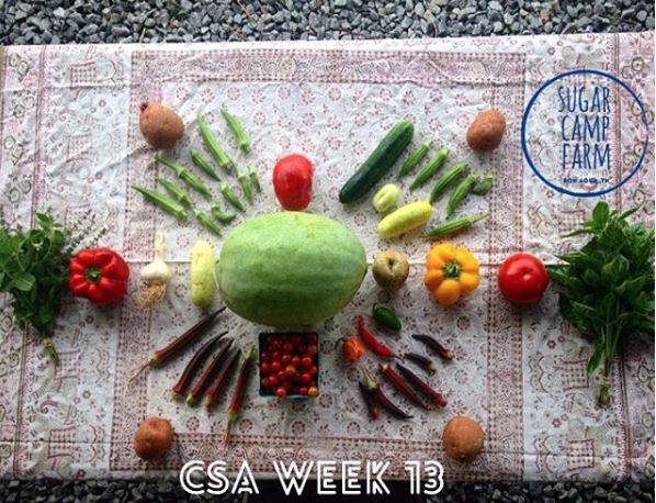 Screen Shot 2017-02-02 at 12.36.58 PM.png