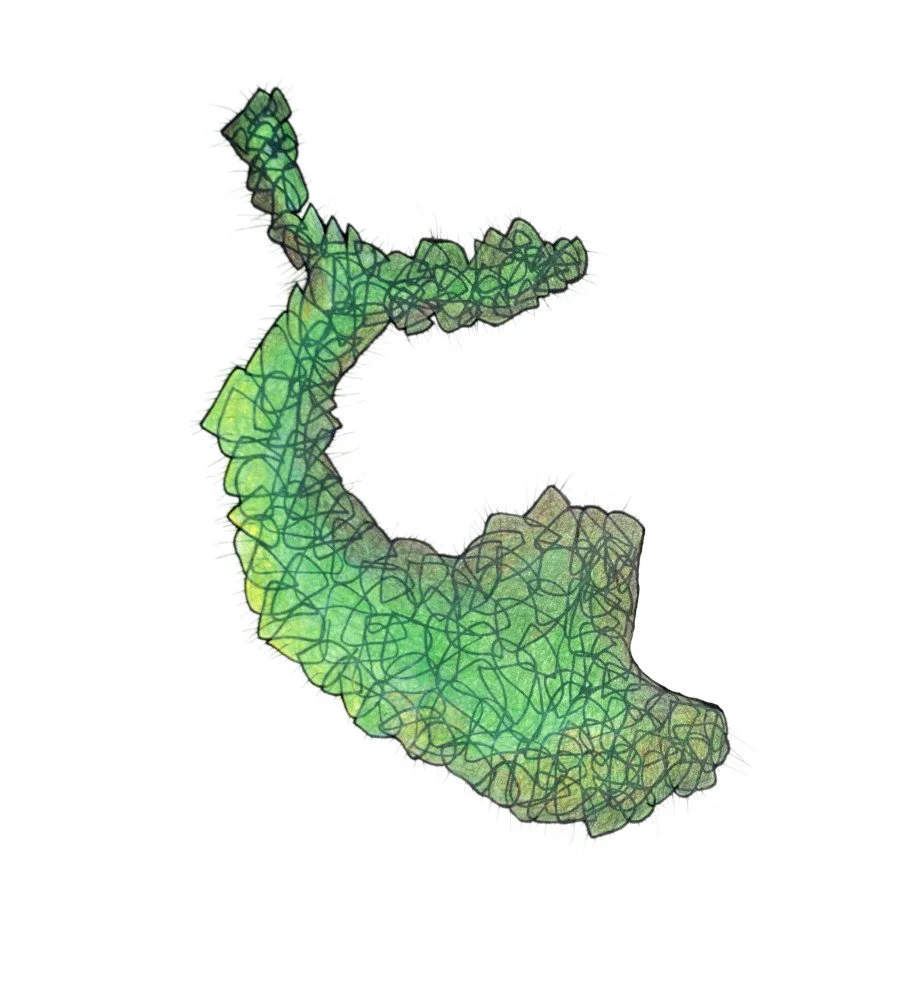 04-smallest.jpg