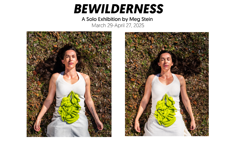 BEWILDERNESS - email.png