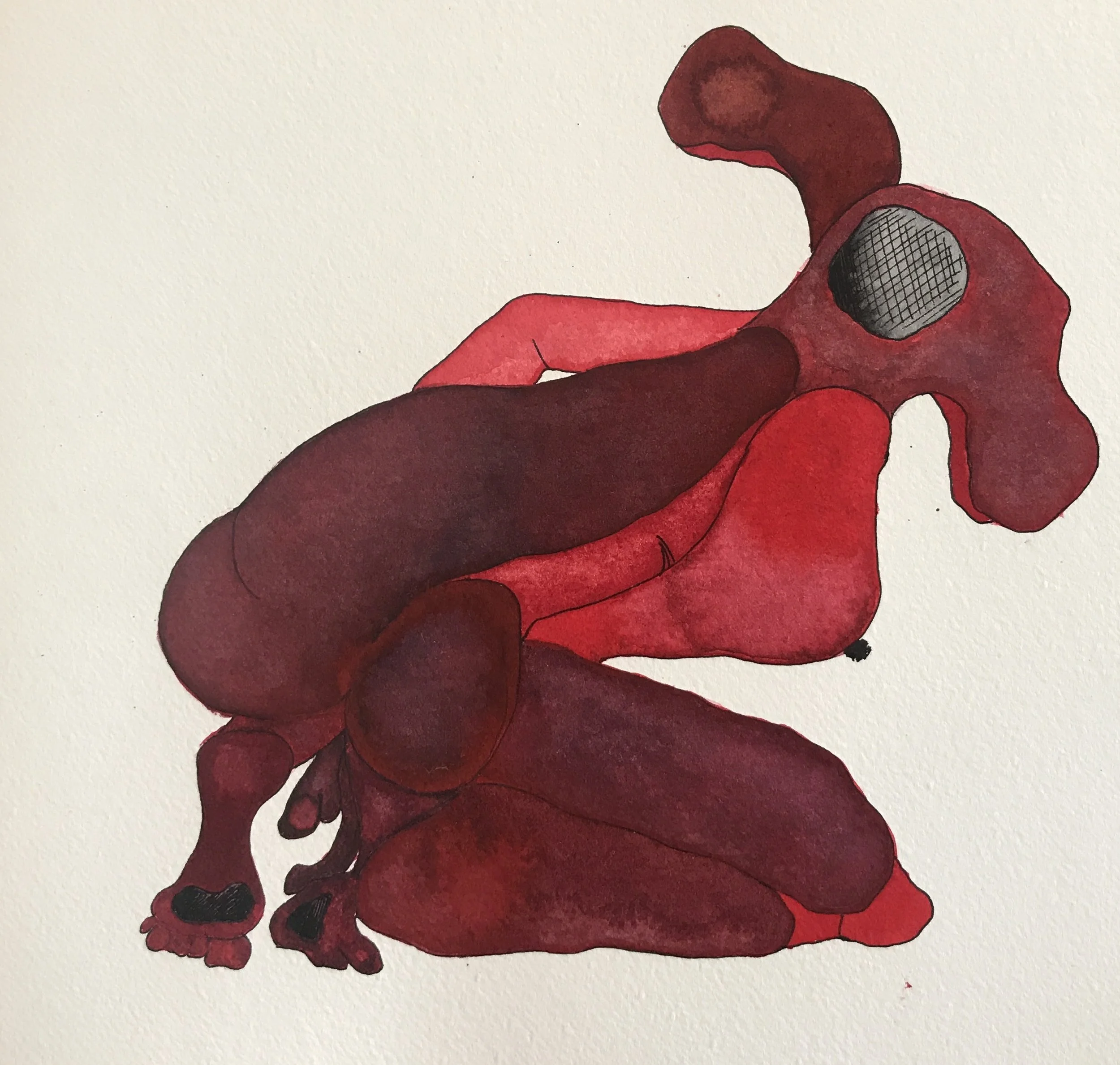 W-Red Legs 22x23cm - IMG_8329.JPG