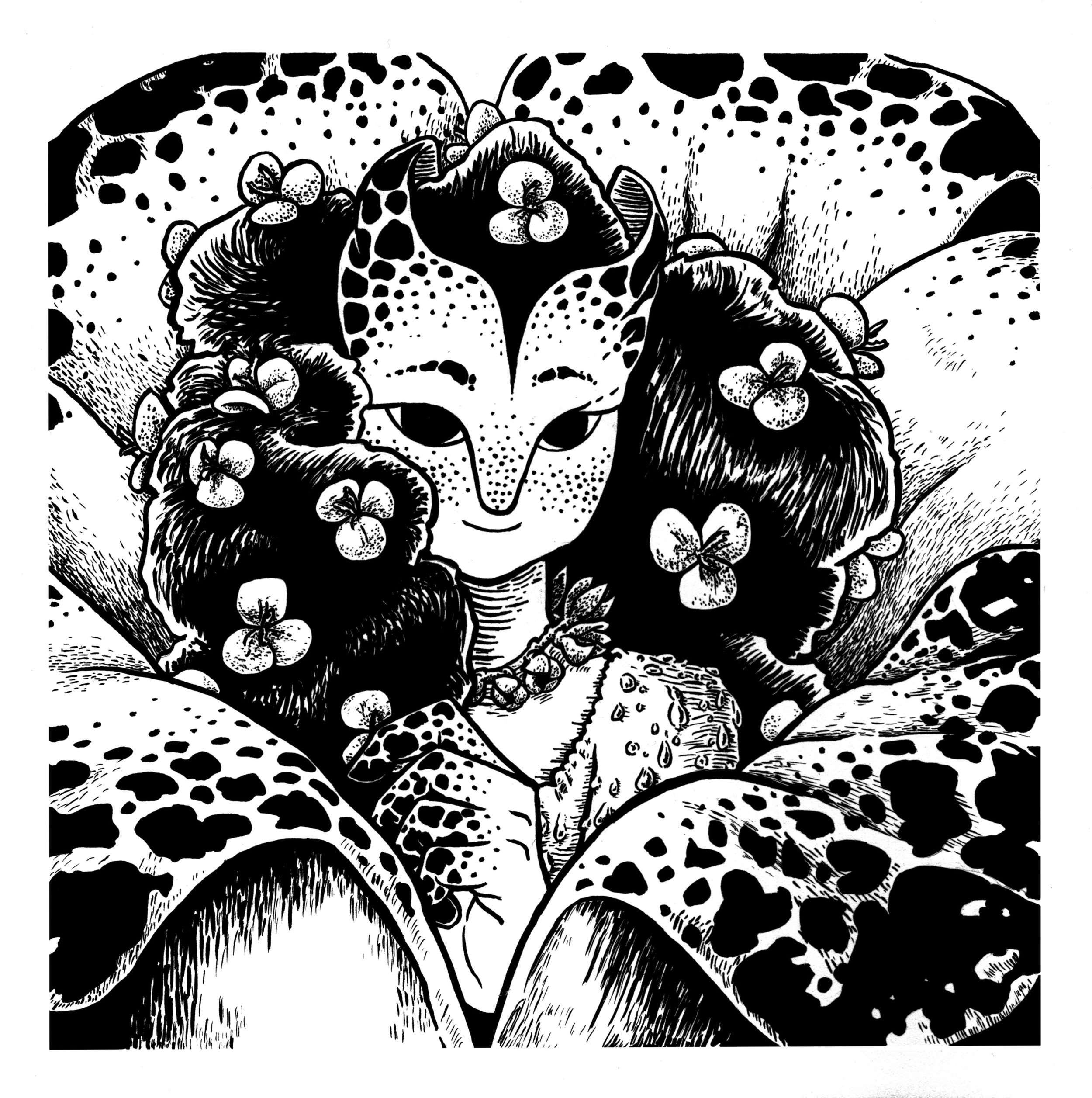 The Fairy