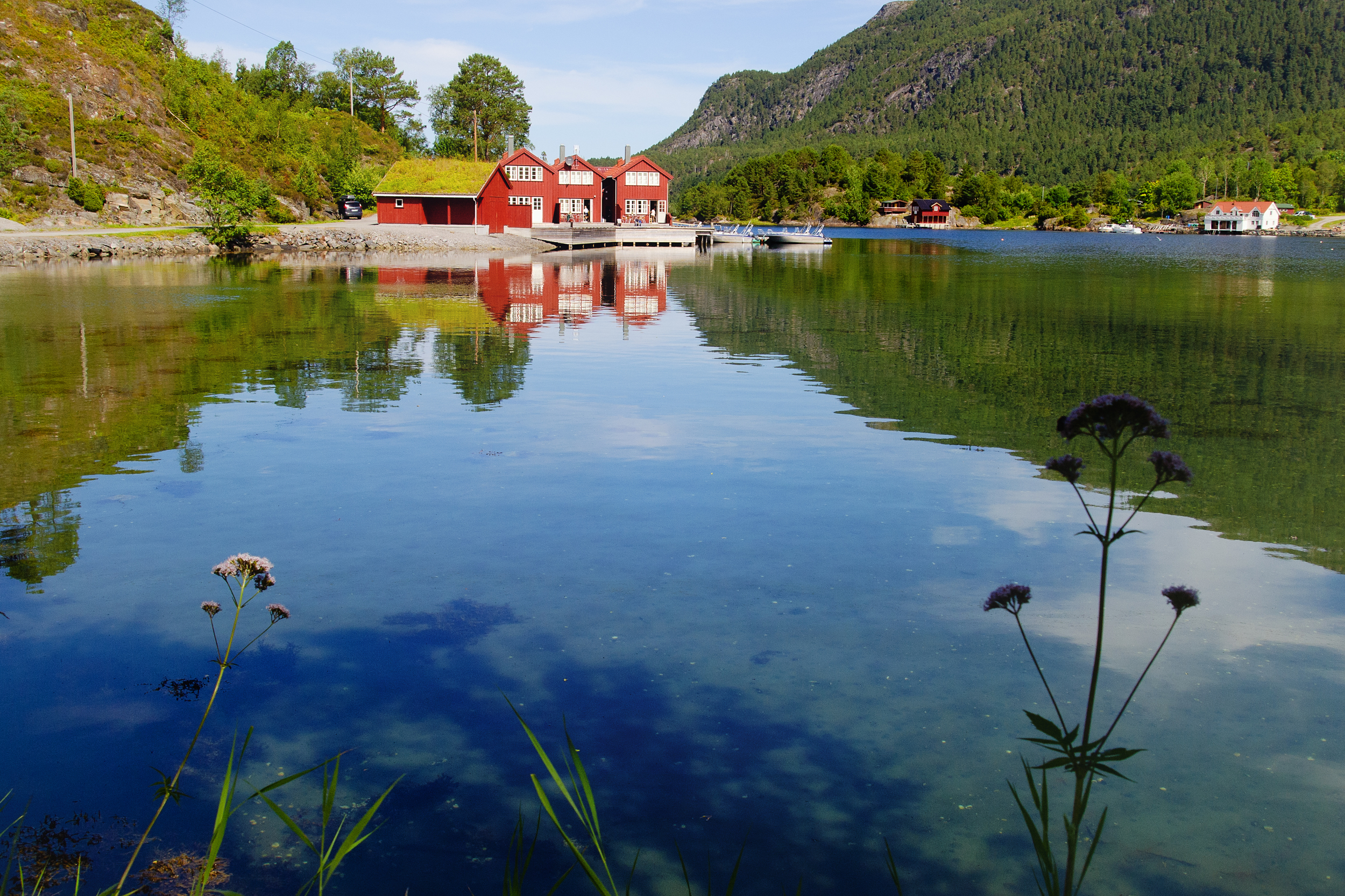 20110717_113213_OlyEPL1-Edit.jpg