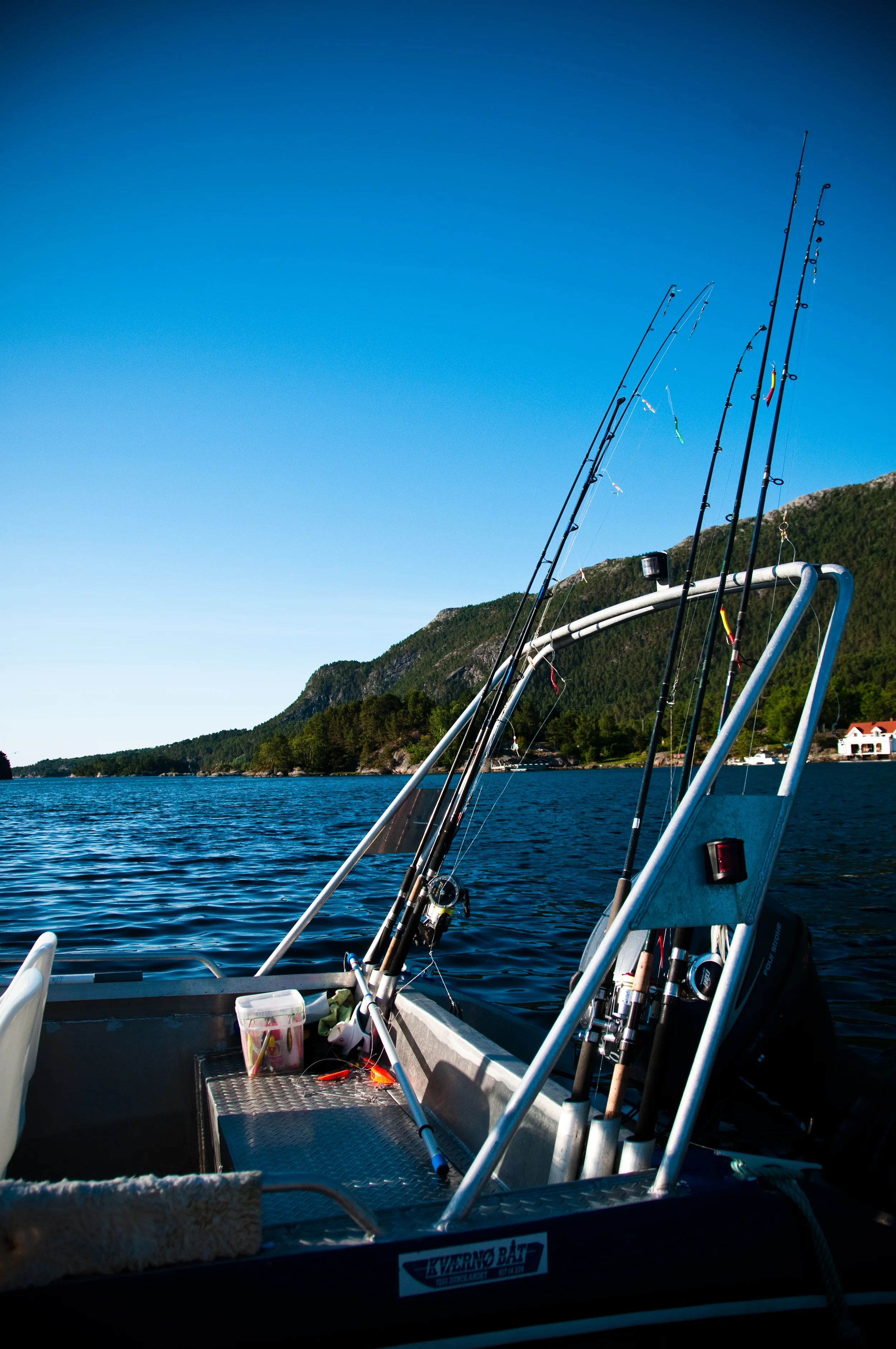 20090717_183344_D300.jpg