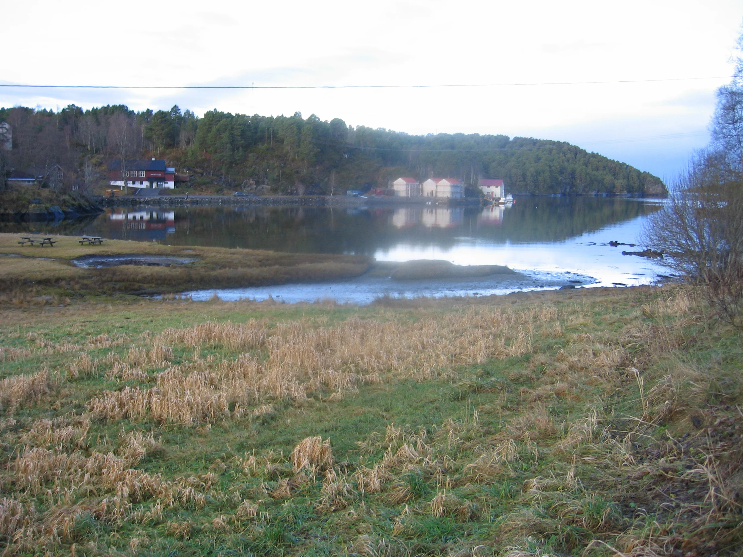 20061127_114713_mamma.jpg