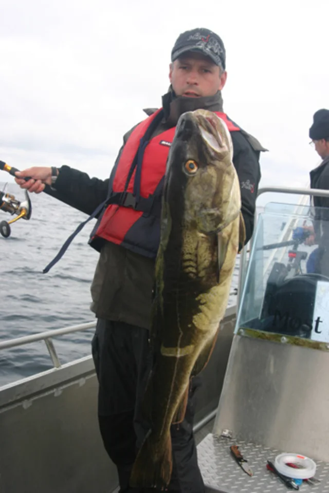 11kg.jpg