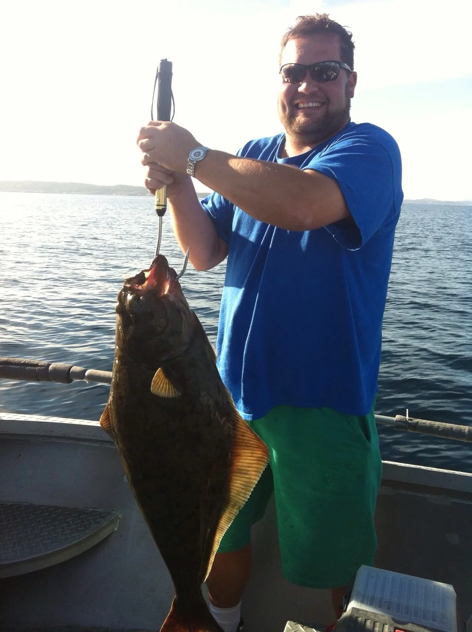 Halibut, September 2014.jpg
