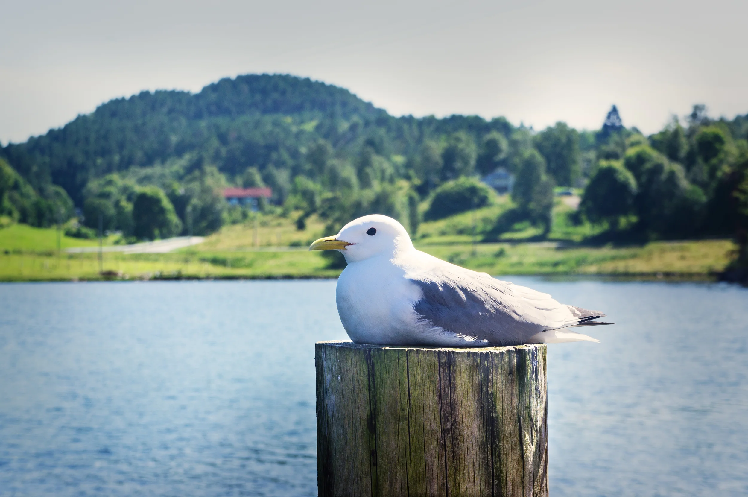 20130724_143230_NEX5N-Edit.jpg