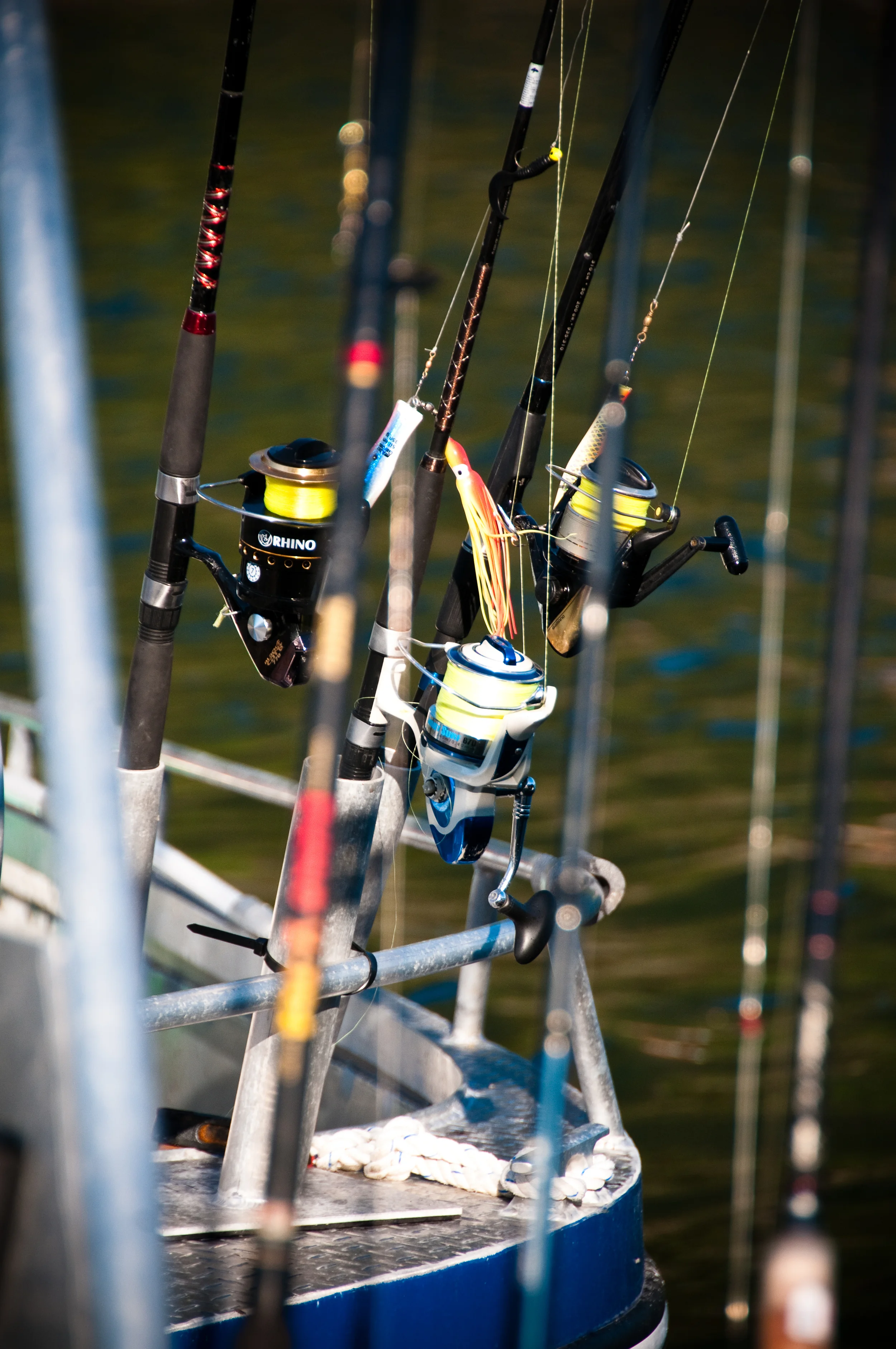 20090717_183759_D300.jpg