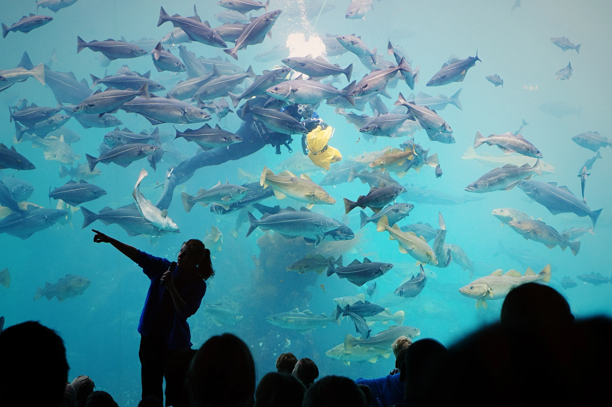 20120709_131115_NEX-5N-Edit.jpg