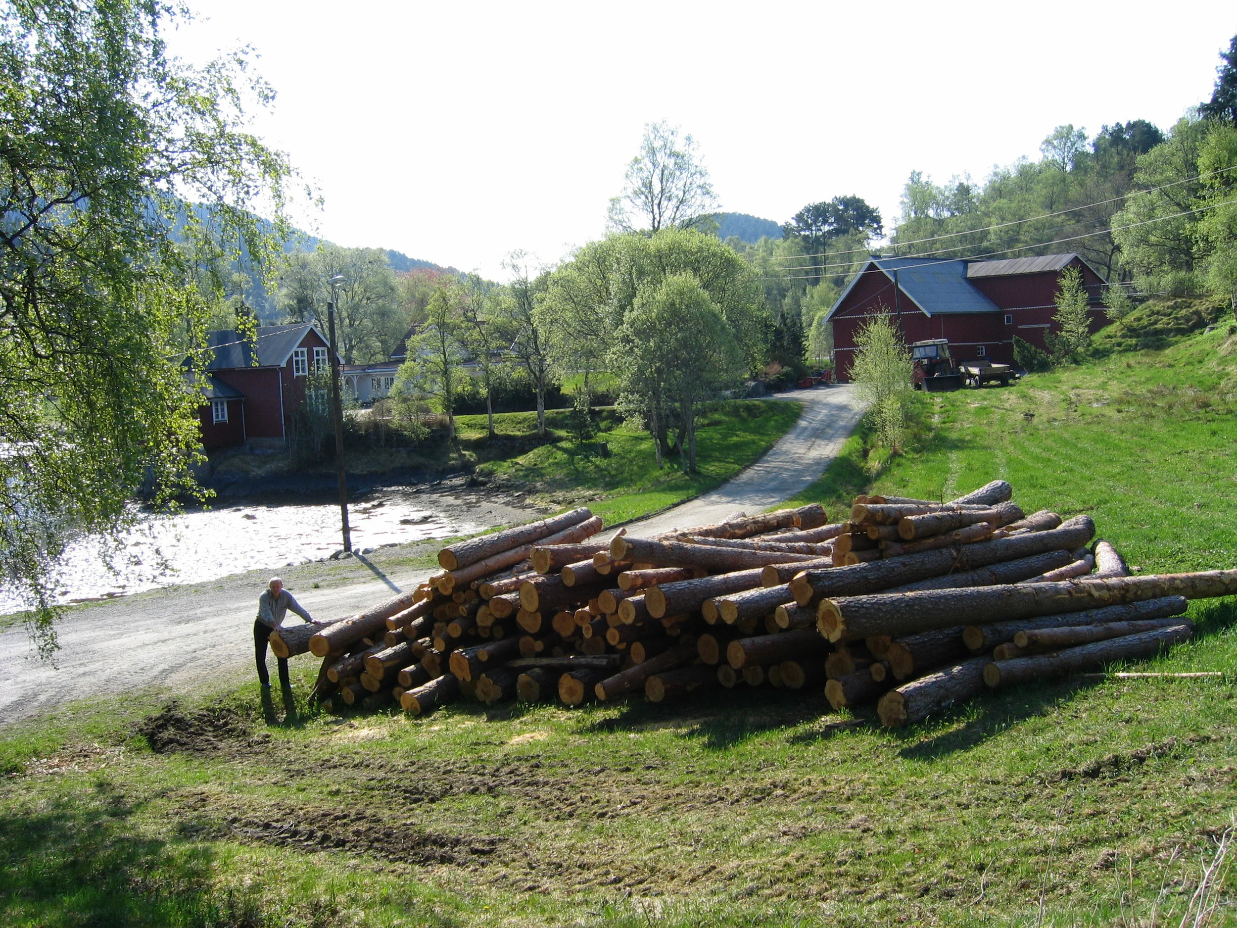 20060507_093743_mamma.jpg