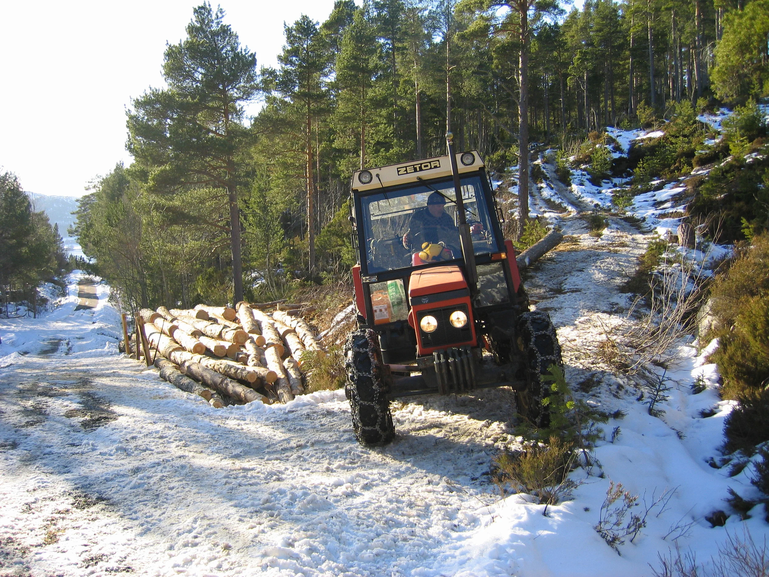 20060314_160521_mamma.jpg
