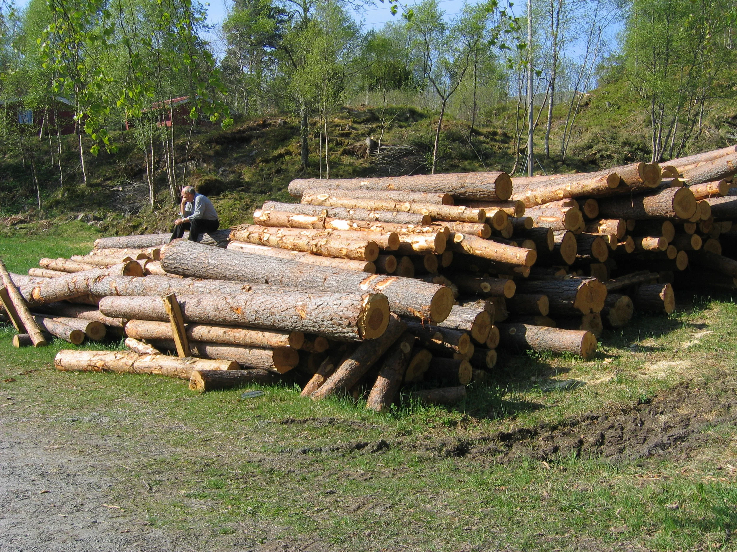 20060507_093509_mamma.jpg