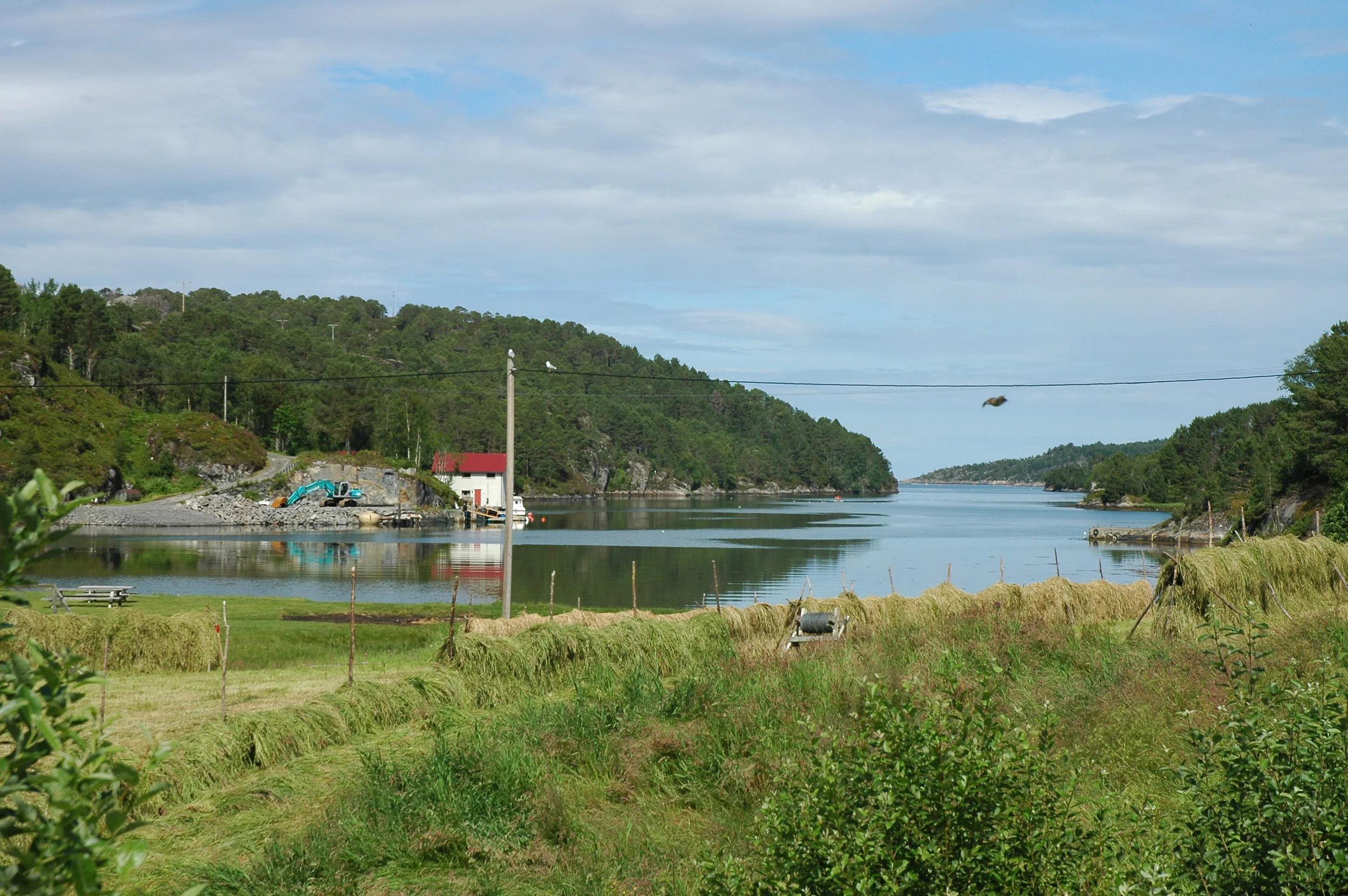 20060709_123621_D70.jpg