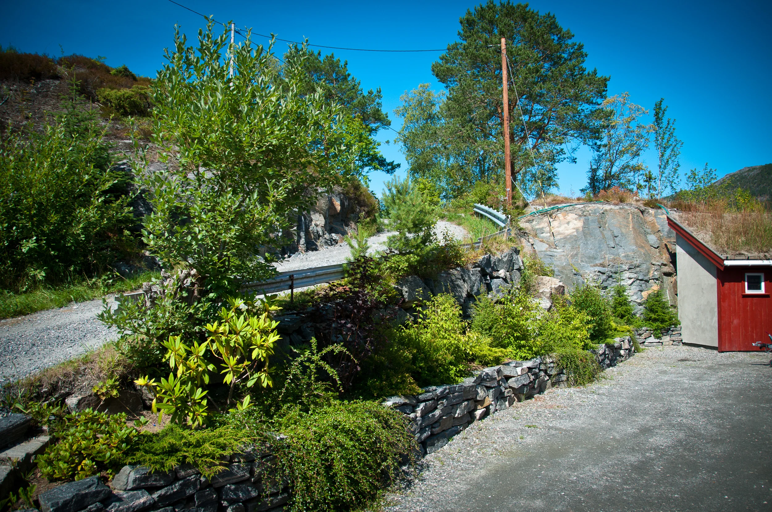 20090717_131949_D300.jpg