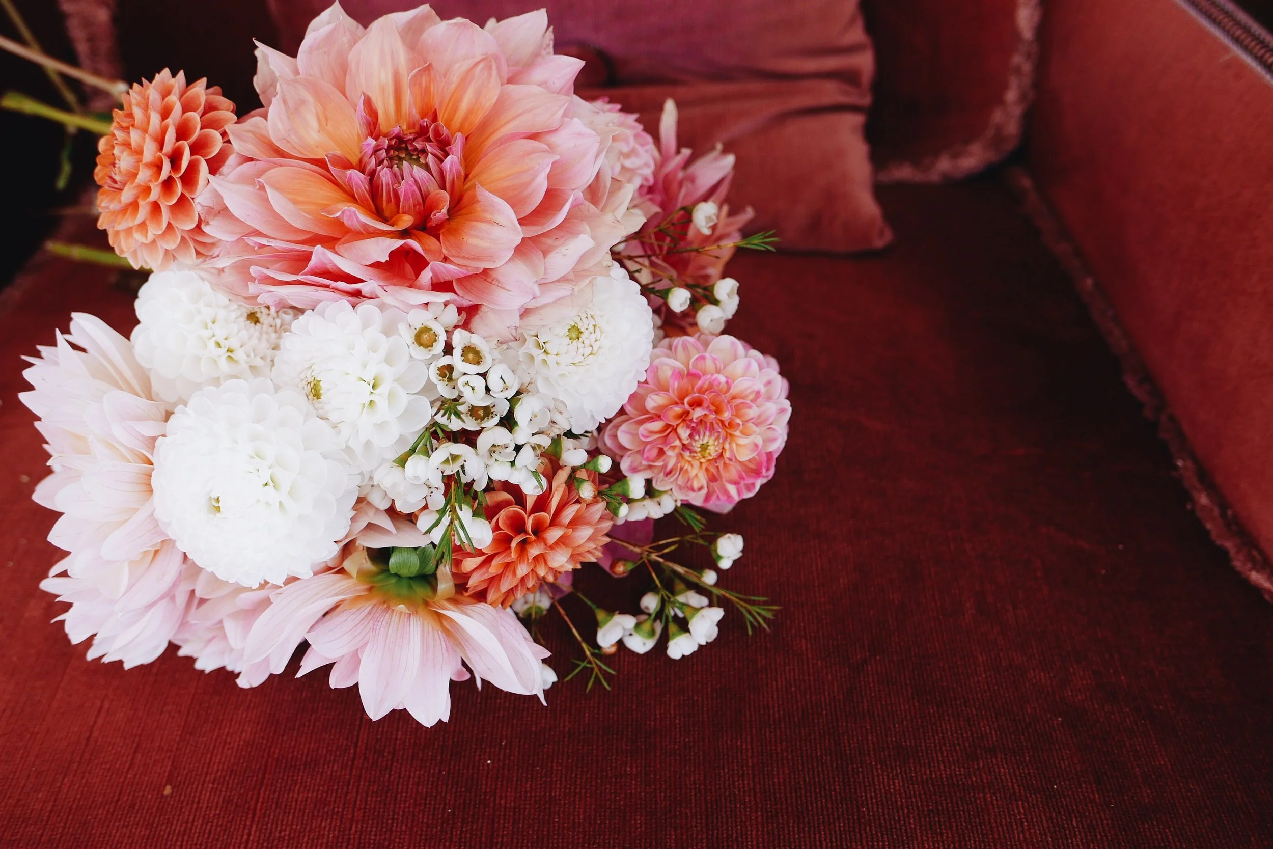 Processed with VSCO with a6 preset Processed with VSCO with a6 preset