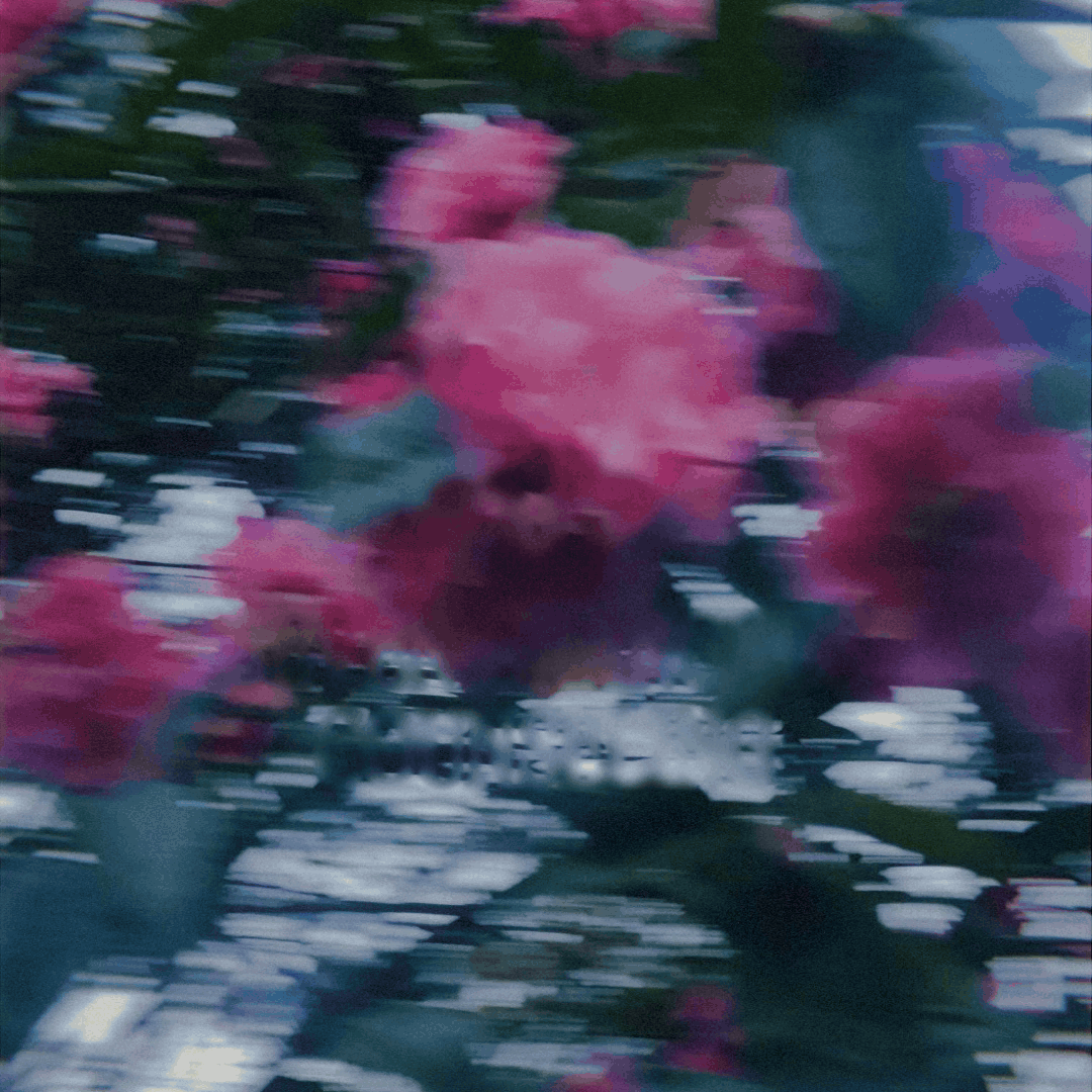 seven-branches-logo-1080x1080-1mb.gif