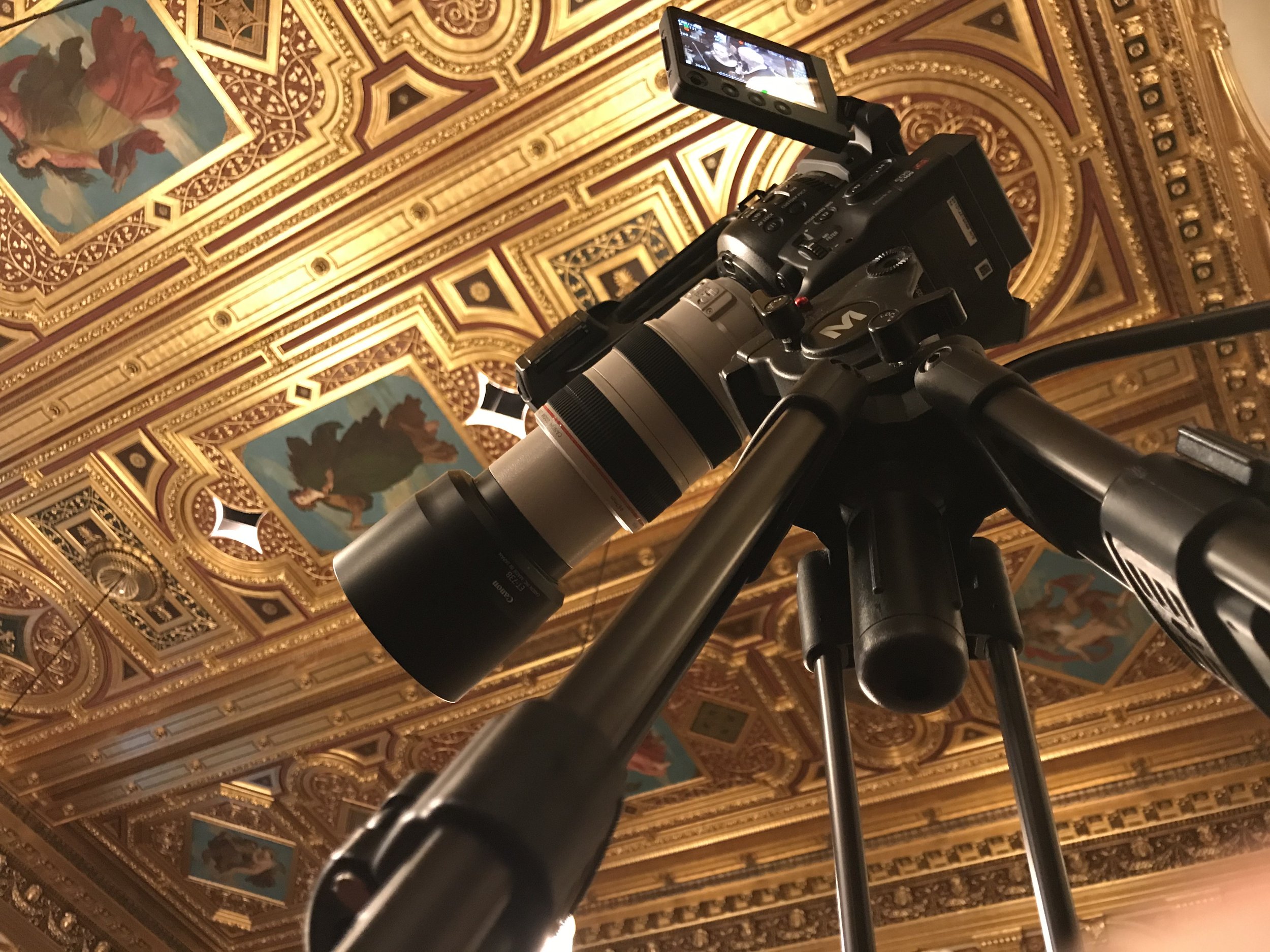 Musikverein, Vienna
