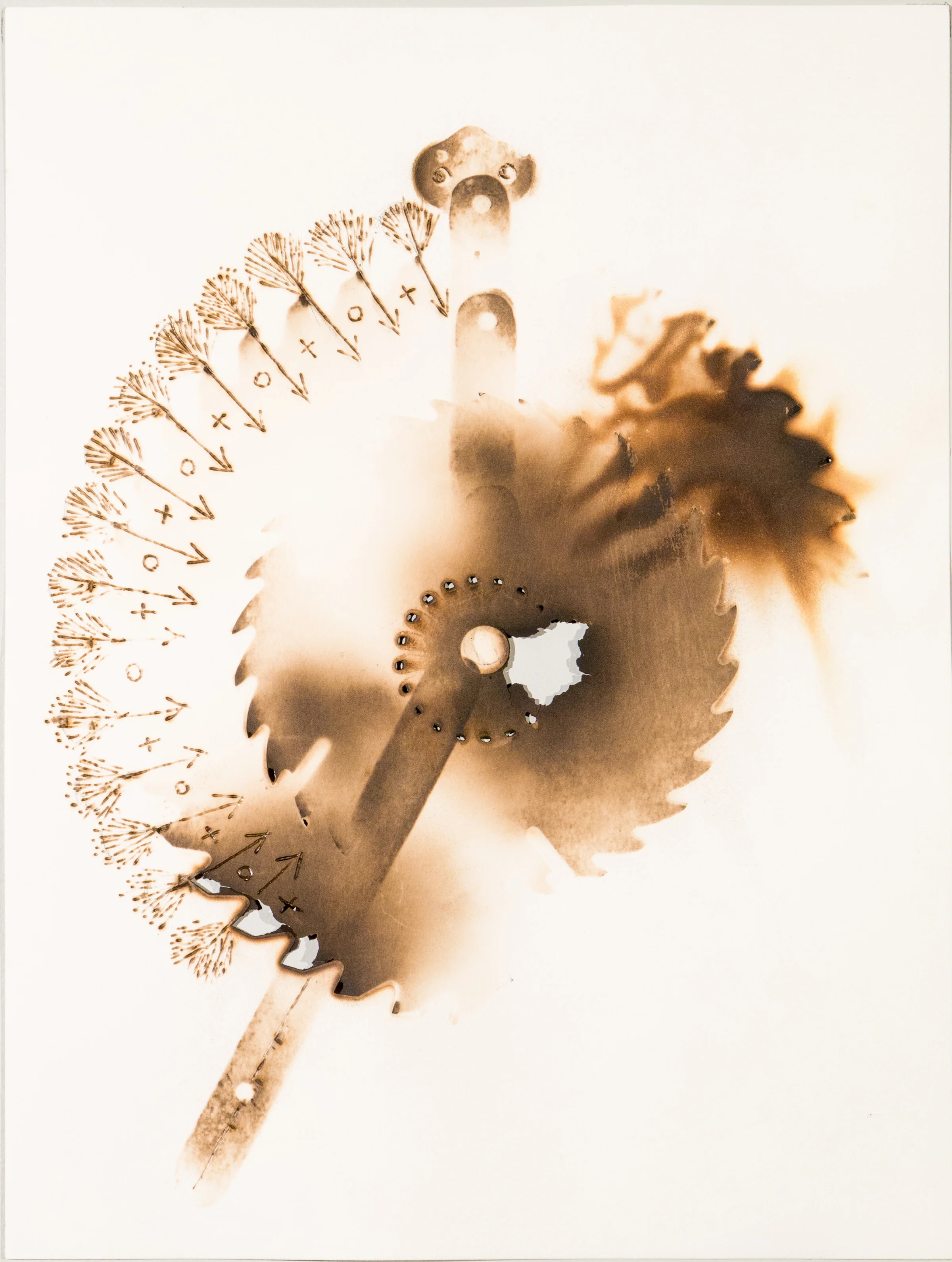 Fan the Flames, 2015, burning on paper, 12" x 16"
