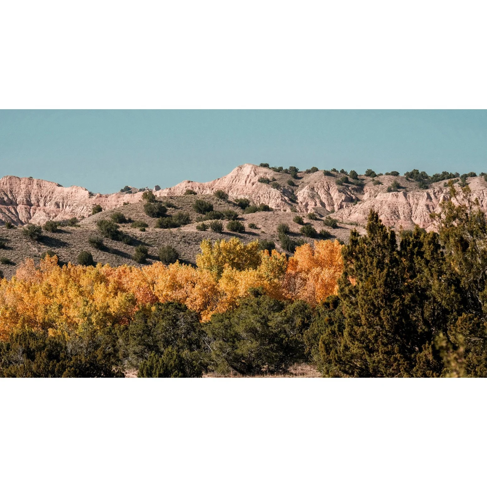 Whitagram-Image 5.JPG