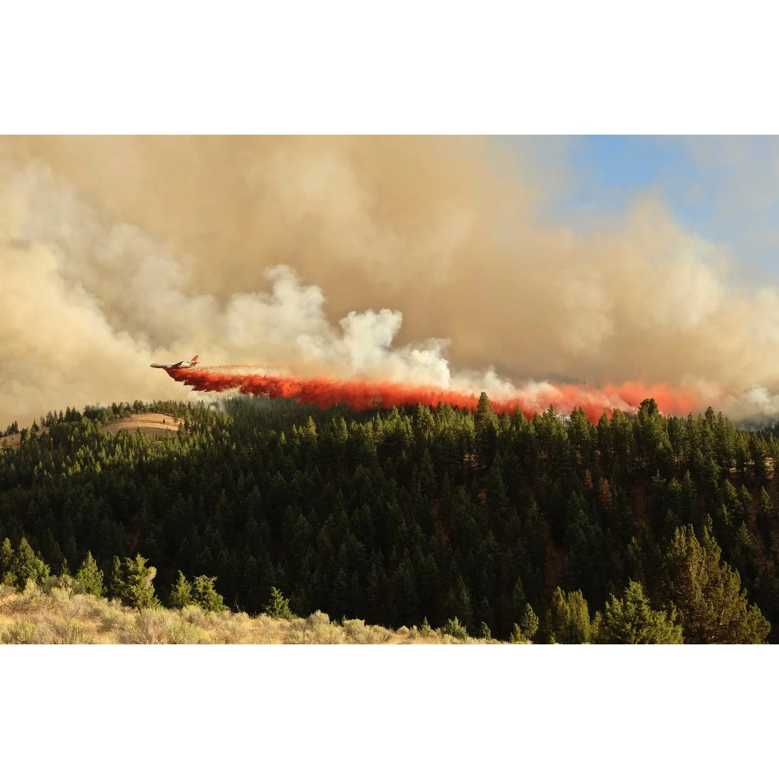 Whitagram-Image 6.JPG