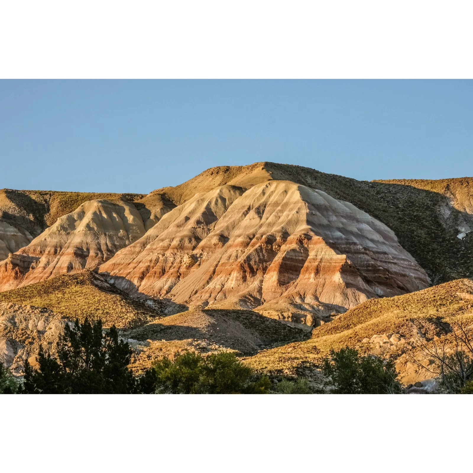 Whitagram-Image 11.JPG