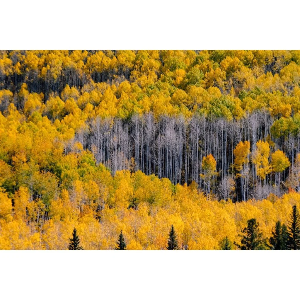 Whitagram-Image 14.JPG