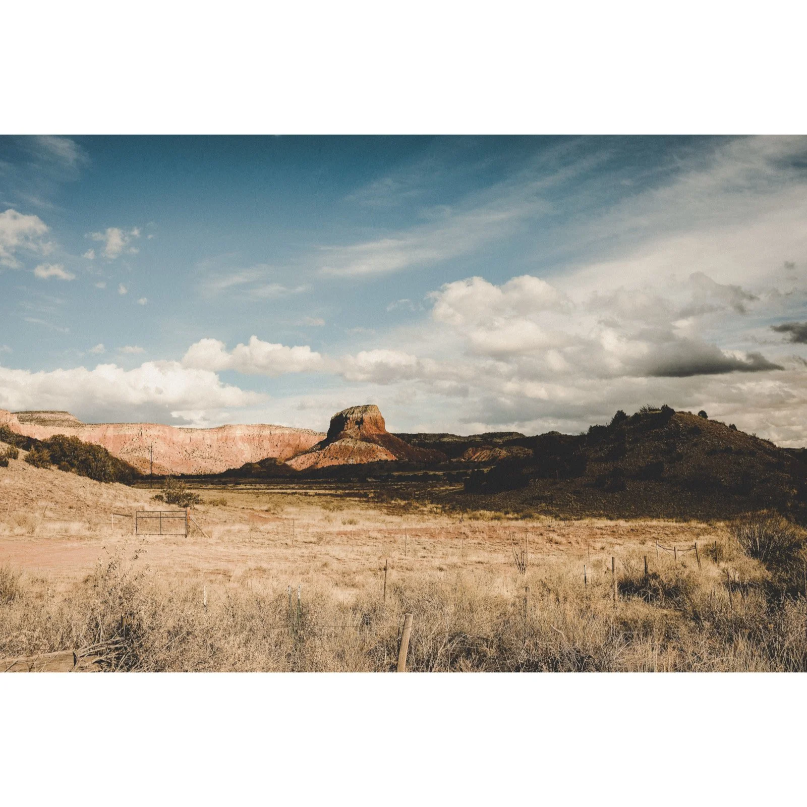 Whitagram-Image 17.JPG