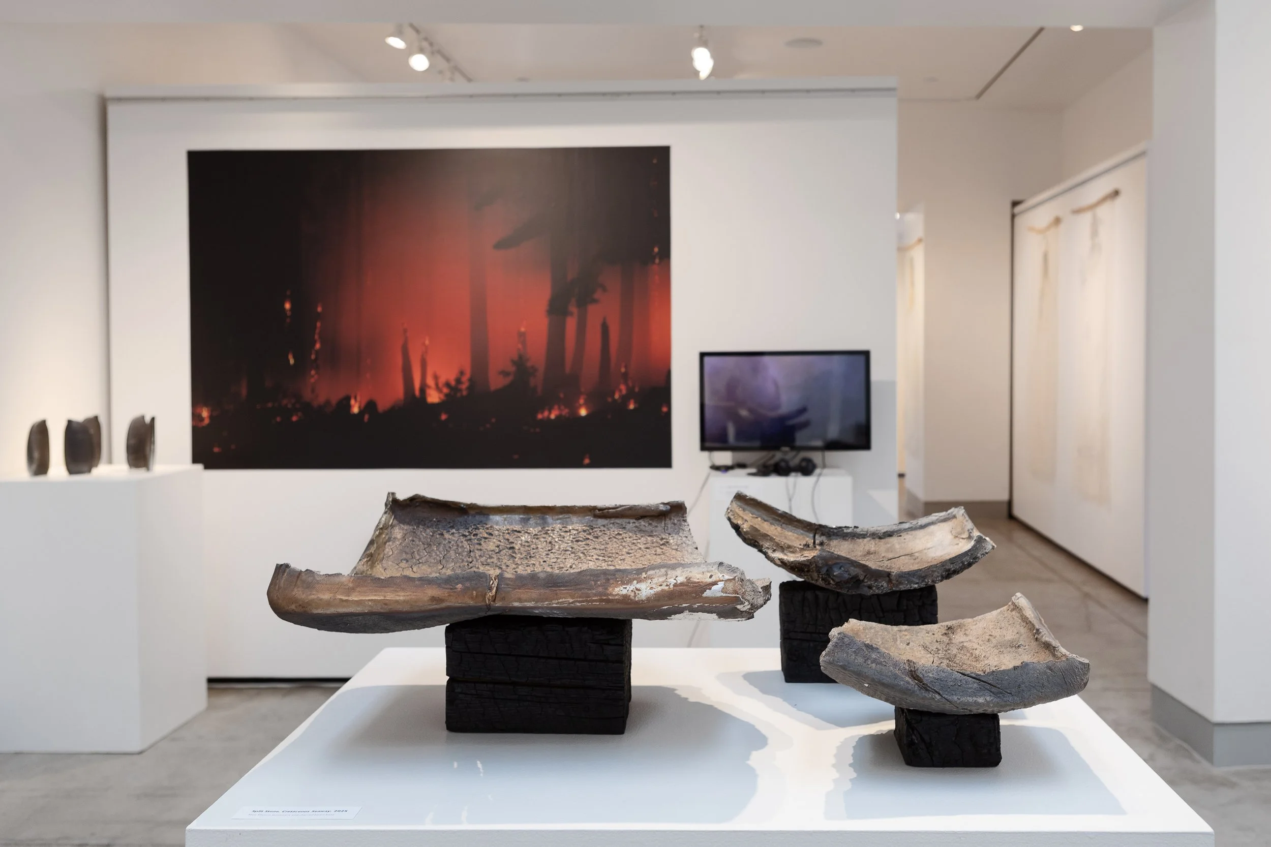 Avi Farber Installation_13.jpg