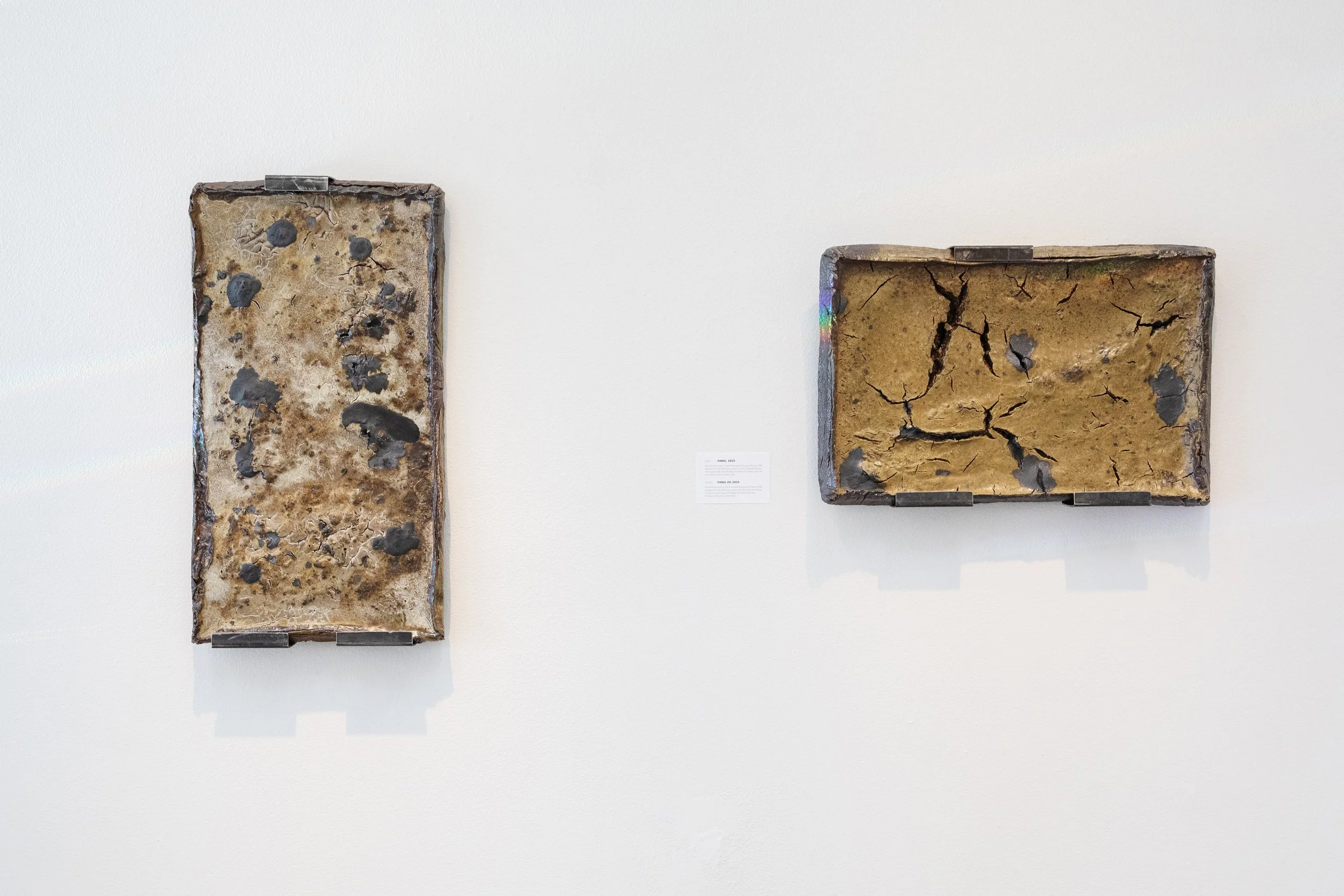 Avi Farber Opening Reception_15.jpg