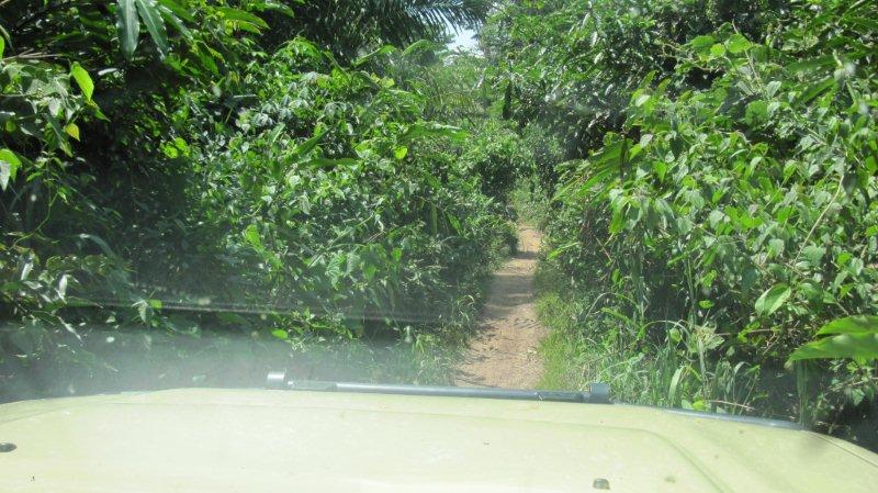 photo9.jpg