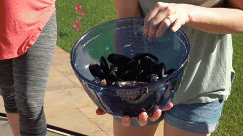 Tasty Tampasgiving Country Boil.gif