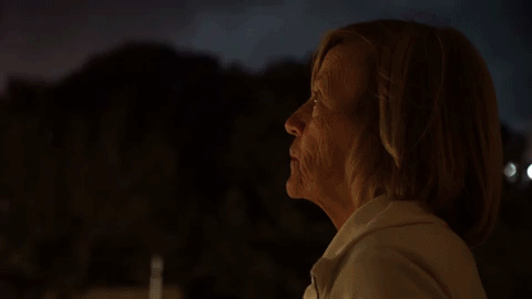 To Be in Tybee GIF Fireworks.gif