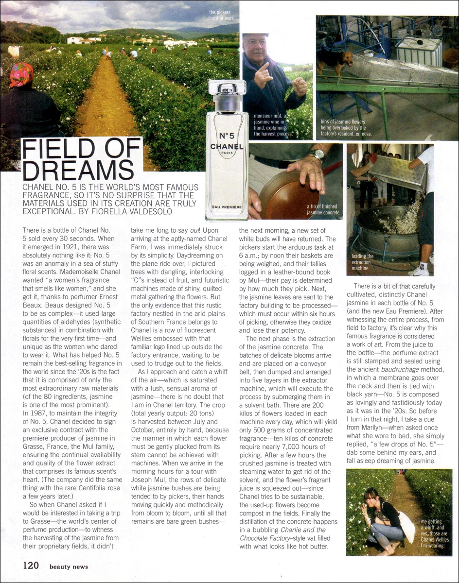 Nylon- Field Of Dreams pg 1.jpg
