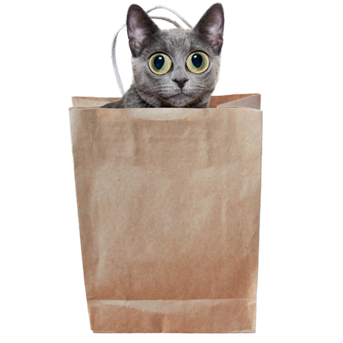 catbag.jpg