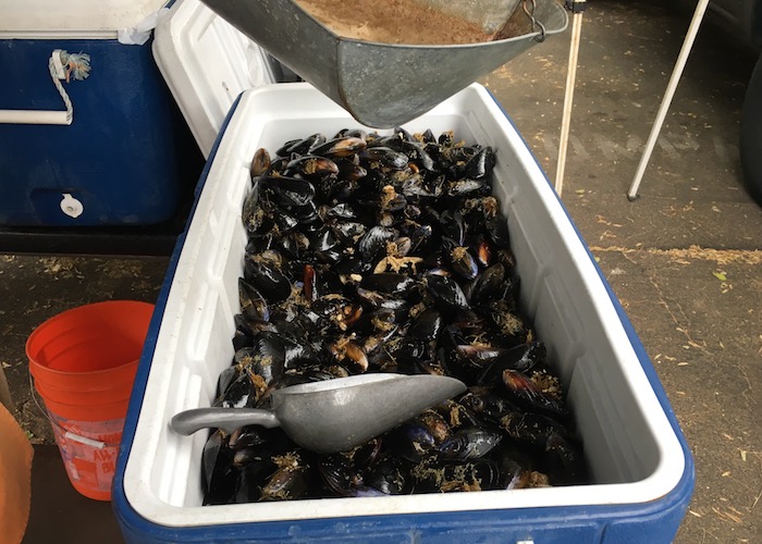MusselsInMarket.jpg