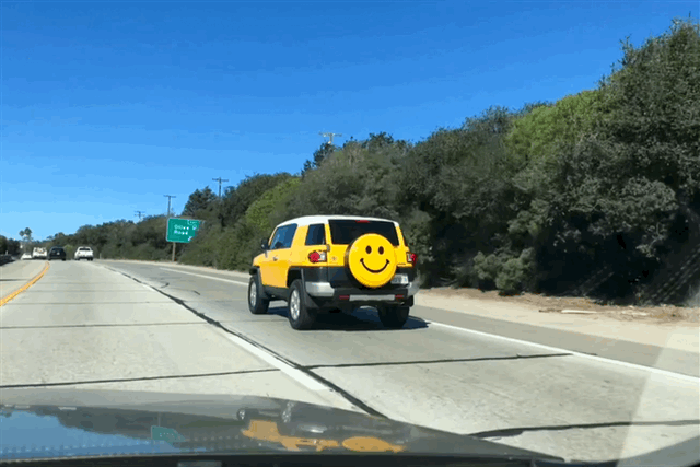 IMG_2215.gif