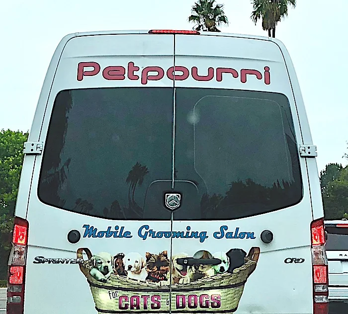 petpurri.jpg