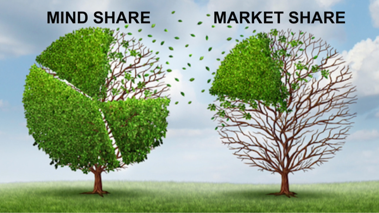 Mind Share Precedes Market Share — Napa Consultants, International