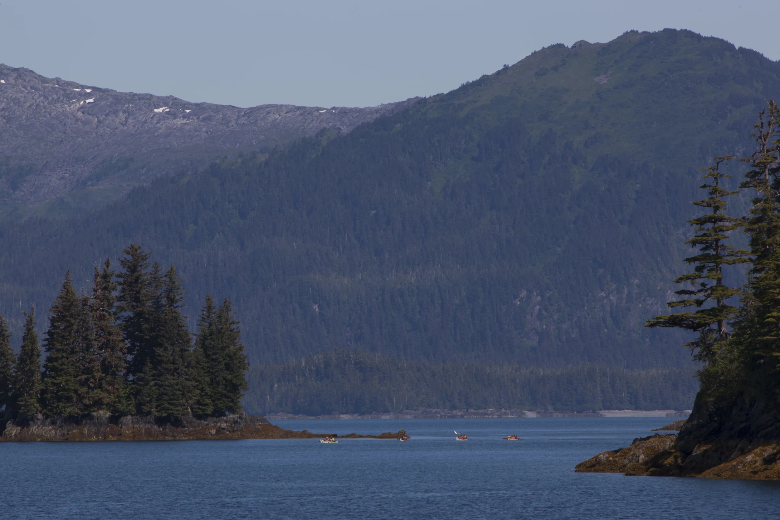 _MG_0542.jpg